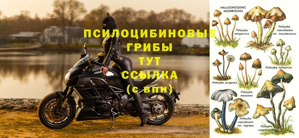 молекула духа Заволжье
