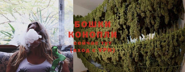 МДМА Заводоуковск