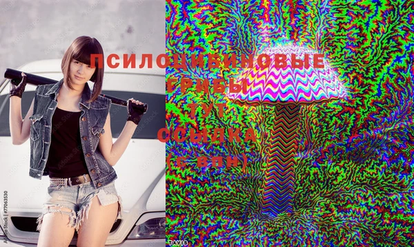 кристаллы Заволжск