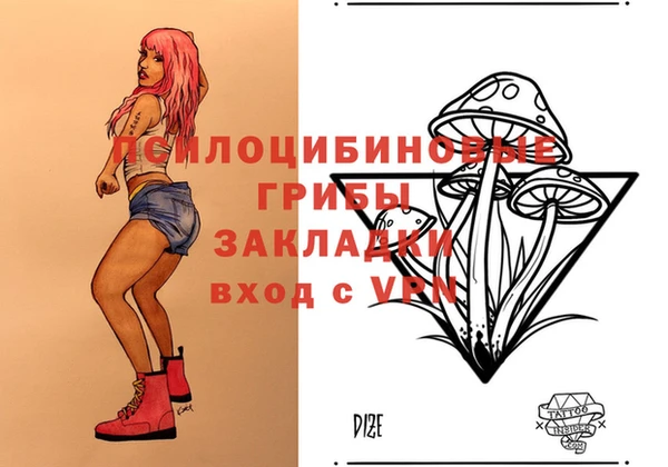 молекула духа Заволжье