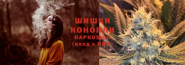 PSILOCYBIN Зерноград