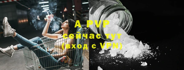 молекула духа Заволжье