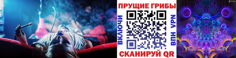 Псилоцибиновые грибы Magic Shrooms  Северобайкальск 