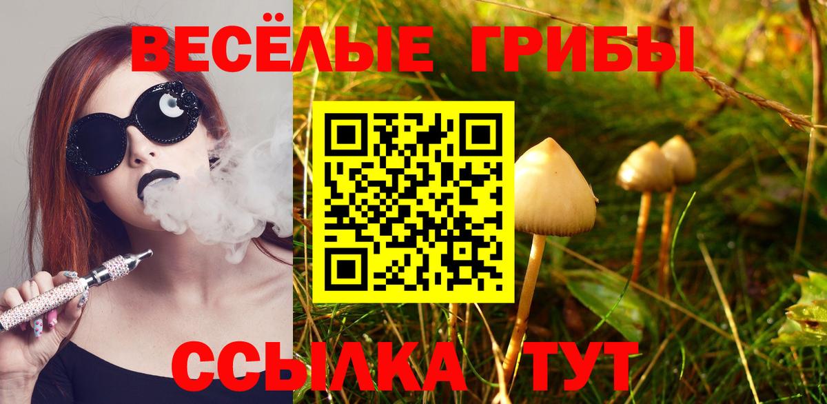Северобайкальск  Галлюциногенные грибы GOLDEN TEACHER  Вход с VPN  Псилоцибиновые грибы прущие грибы 