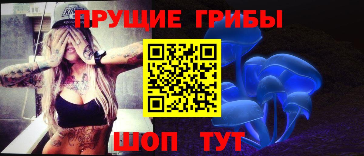 Галлюциногенные грибы GOLDEN TEACHER  Северобайкальск  Псилоцибиновые грибы прущие грибы 