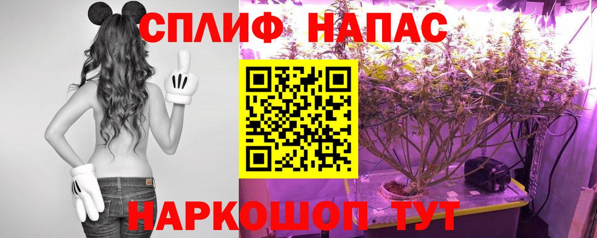 Бошки марихуана SATIVA & INDICA  Шишки марихуана семена  Северобайкальск 